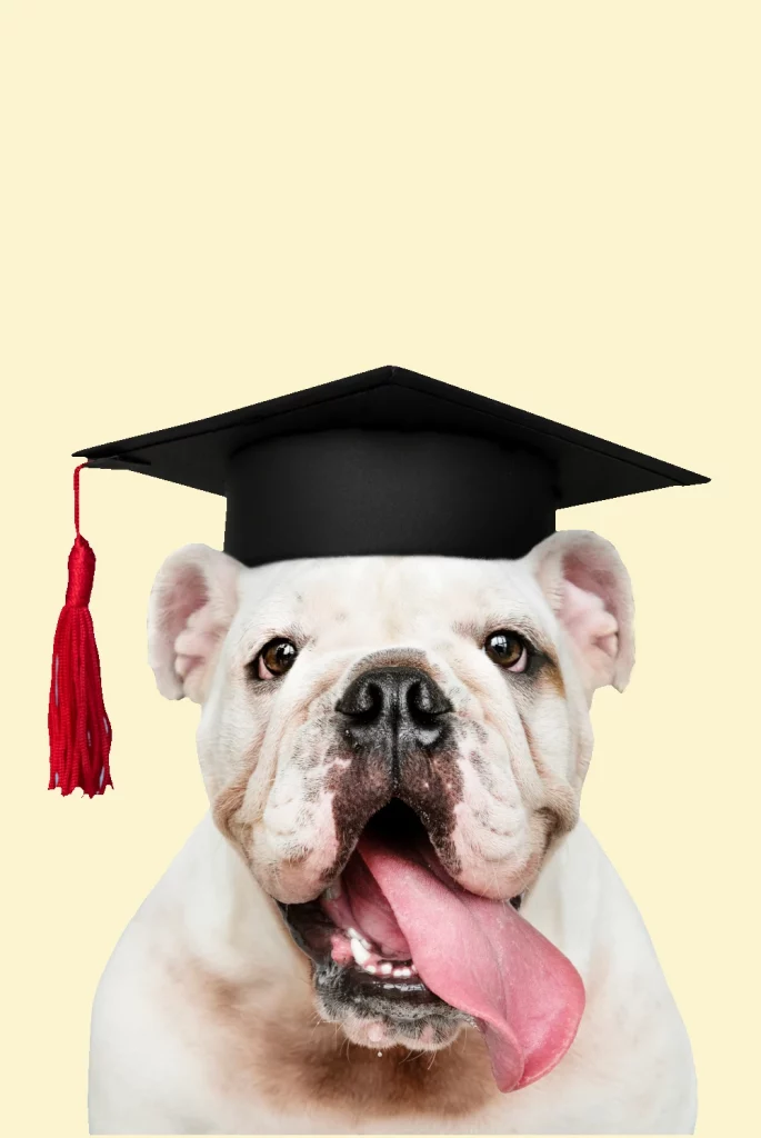 Przygotuj do egzaminu FCE, CAE, CPE, IELTS i TOEIC z szkoła językła online Cambridge School of English